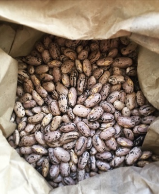 ZERO WASTE FUNDAMENTALS